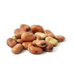 فول يابس سوري - بالكيلو