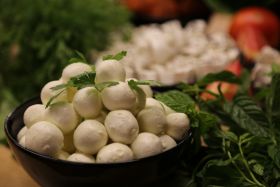 لبنة طابات بالزيت - بالكيلو